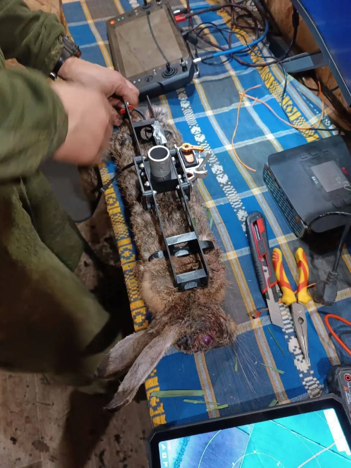 Pogledajte kako Putinova vojska trpa eksploziv u lešine životinja: Teško se otkriva, još teže preživljava