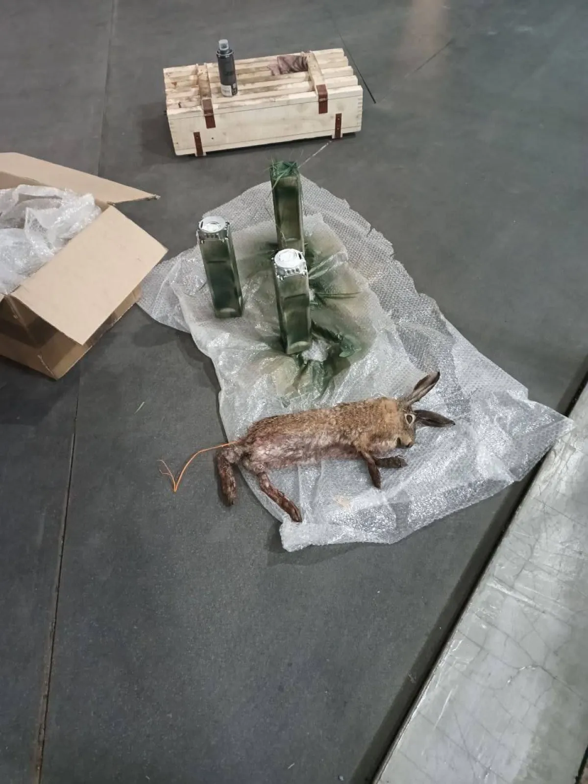 Pogledajte kako Putinova vojska trpa eksploziv u lešine životinja: Teško se otkriva, još teže preživljava