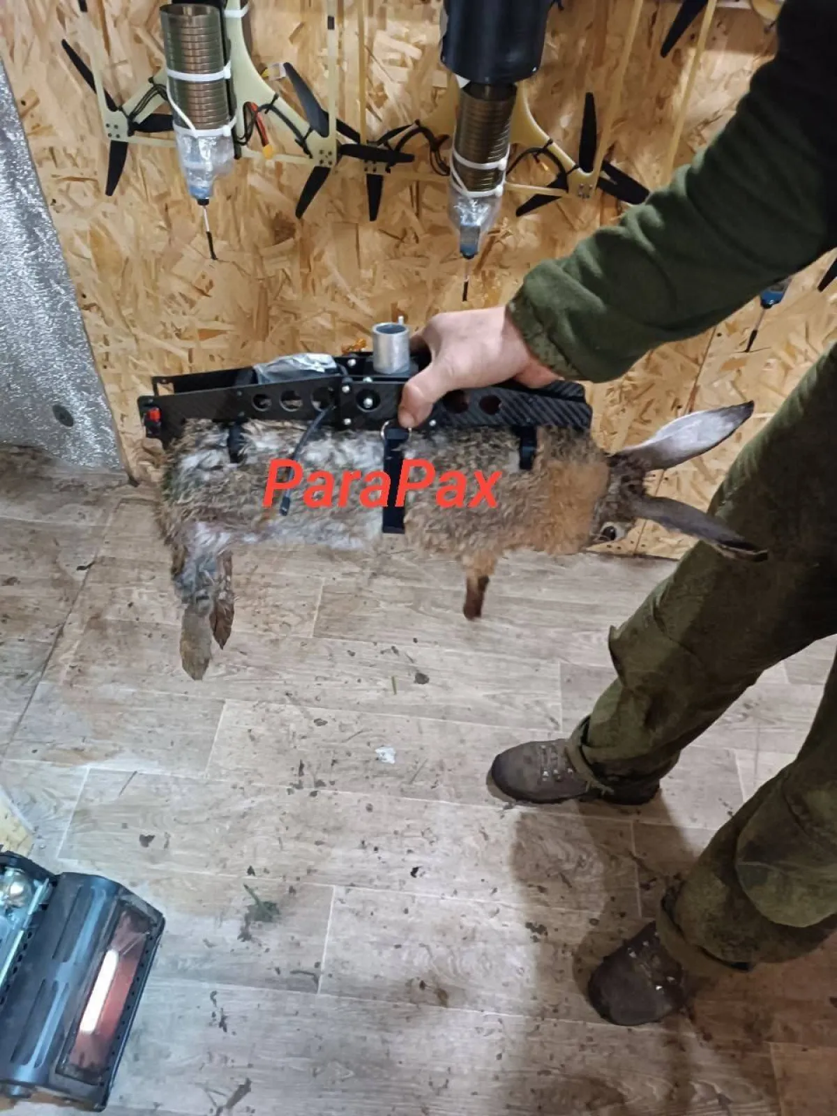 Pogledajte kako Putinova vojska trpa eksploziv u lešine životinja: Teško se otkriva, još teže preživljava