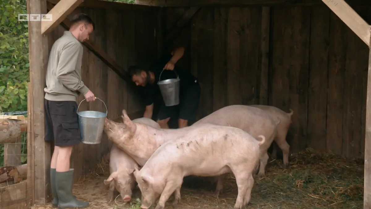 Izabran je novi vođa obitelji, čija će prva odluka razljutiti mnoge: 'Jako dvolična osoba! Napravit će pomutnju!'