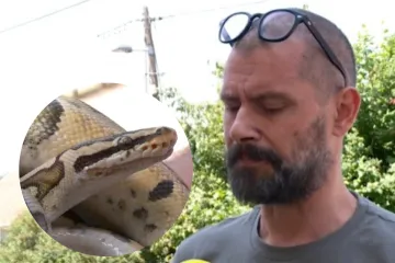 Zagrepčanin šetao psa, naletio na pitona i učinio nešto nezamislivo: 'Imao sam torbu...'