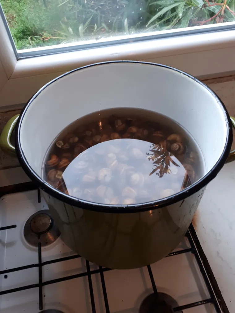 Sluzavo, malo i delicija na tanjuru. Ovaj recept će vas raspametiti!