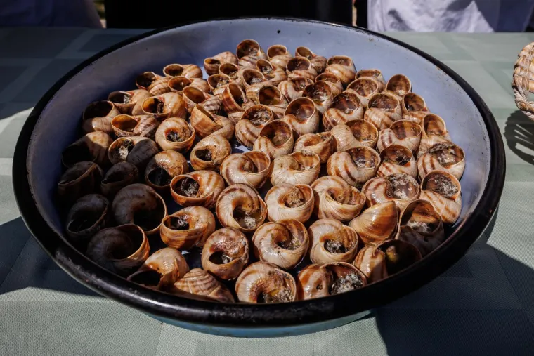 Sluzavo, malo i delicija na tanjuru. Ovaj recept će vas raspametiti!
