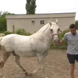 Imamo čudnovatu priču sa sela koja nije crnjak: Mladi poljoprivrednik šokirao kontroverznom izjavom