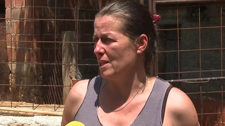 Vukovi im kolju ovce, a pomoći nema: 'Muža su napali na kućnom pragu, a nestaju i stari ljudi'