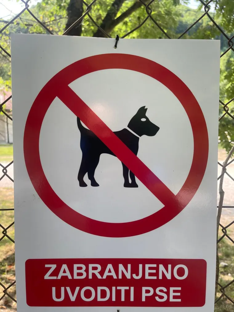 Psi čuvari rastrgali maltezera Huga u Bioparku kod Samobora: 'Mogli su mi zgrabiti kćer!'