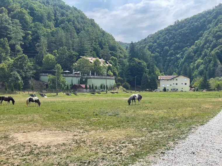 Psi čuvari rastrgali maltezera Huga u Bioparku kod Samobora: 'Mogli su mi zgrabiti kćer!'