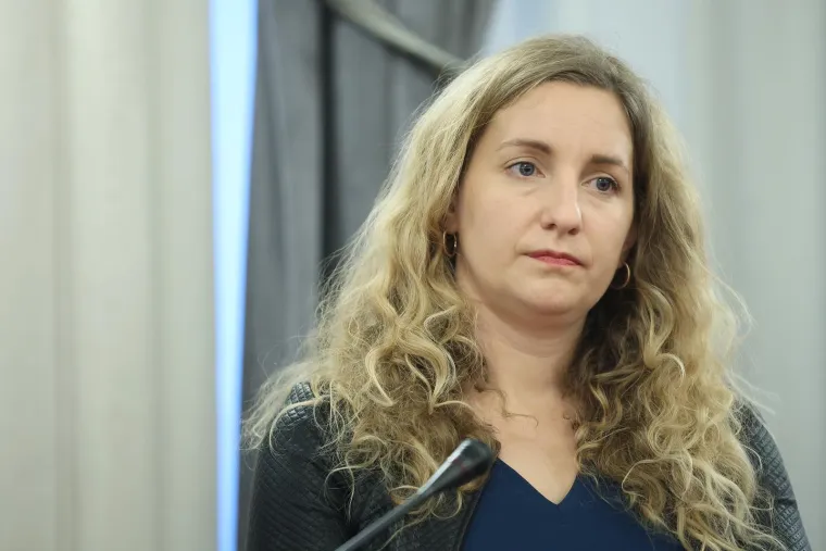 SDP-ova liječnica o koncertu Thompsona: 'Teško je razumjeti kako je netko spreman preuzeti toliki rizik'