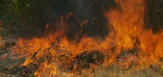 Od Omiša do Brela, vatrogasci i dalje na terenu: Bura prijeti, noć bi mogla biti neugodna