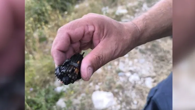 Požar je pod kontrolom, ali počinitelj nije: Policija traži krivca, ovu bi kaznu mogao dobiti