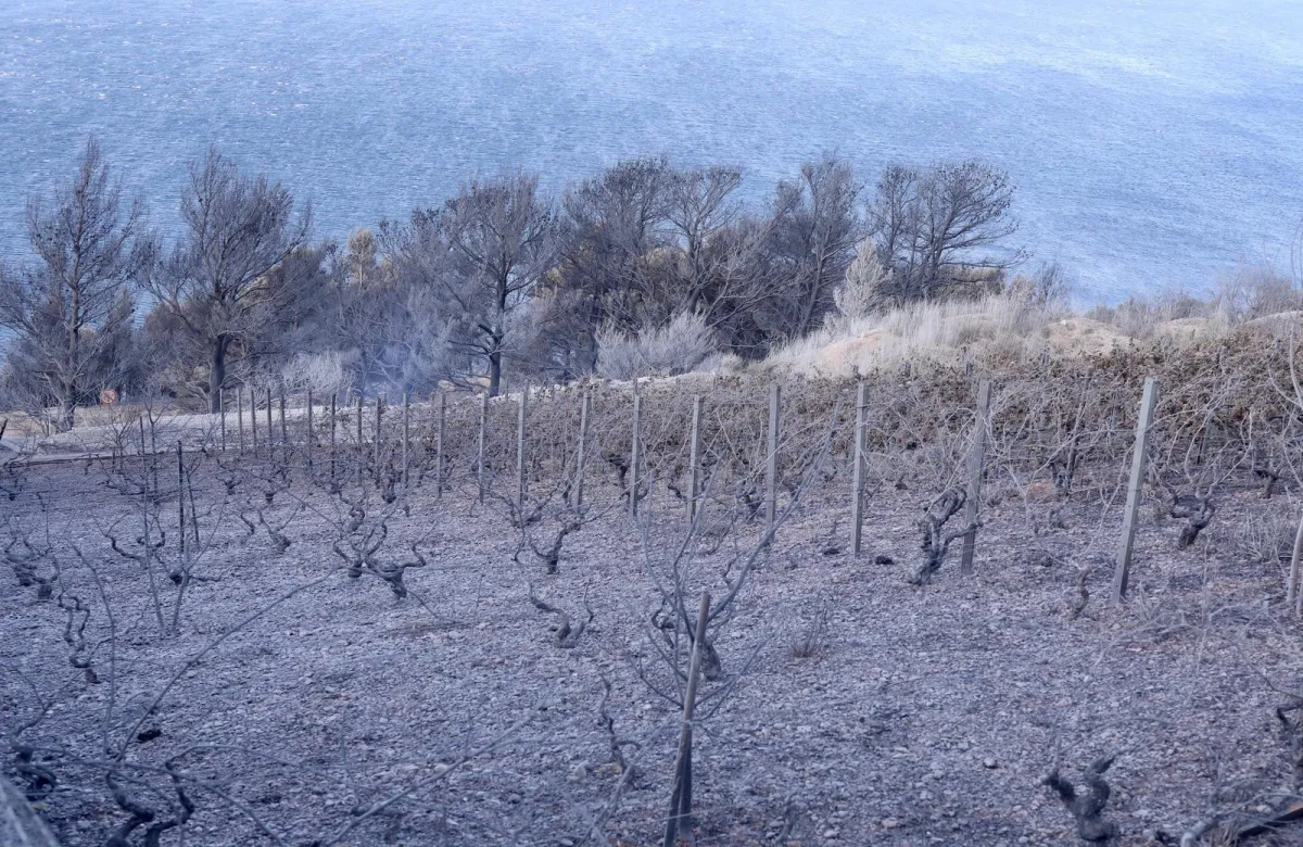Vatrogasci kod Omiša noćas spriječili nekoliko manjih propaljivanja