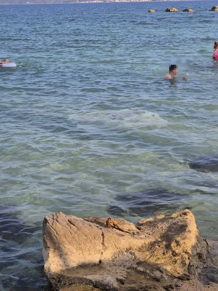 Pazite što je genijalac dovukao u plićak u Kaštelima: 'Vlasnik vile je to danima nalijevao'