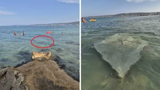 Pazite što je genijalac dovukao u plićak u Kaštelima: 'Vlasnik vile je to danima nalijevao'
