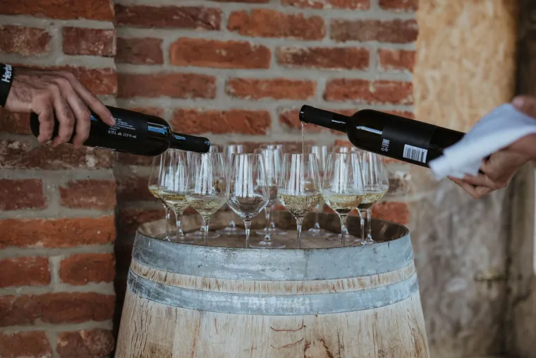 Za stolom u Sisačko-moslavačkoj županiji: Tradicija, okusi i čaša vina koja miriše na zavičaj
