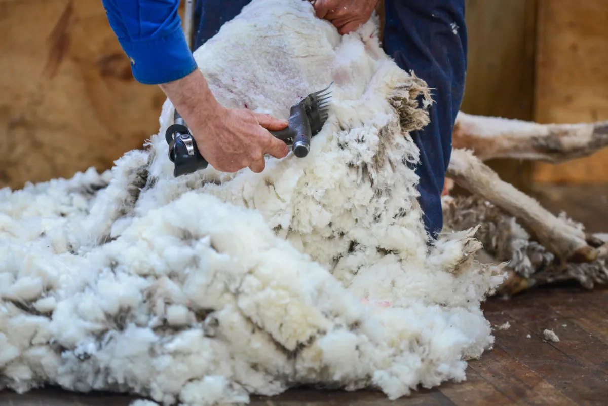 Supruga legendarnog košarkaša otkriva kako je u Lici stvorila poduzetničko čudo
