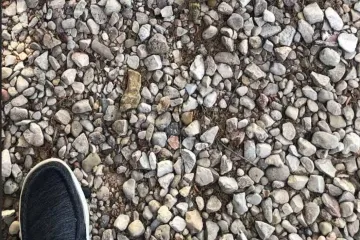 Na ovoj fotografiji nalazi se zmija, mnogi je nisu mogli pronaći: Ako vi uspijete, imate oštro oko