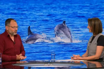 Šaptač dupinima otkrio trebaju li se Hrvati bojati velike bijele psine u Jadranskom moru