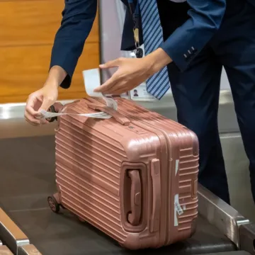 Carinici ostali zatečeni prtljagom jednog putnika: Primijetili da se nešto miče, a kad tamo...