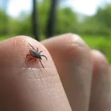 U Hrvatima dragoj destinaciji širi se rijetki virus. Vlasti digle uzbunu nakon smrti muškarca, 25 ljudi u karanteni
