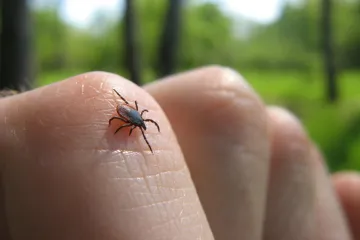 U Hrvatima dragoj destinaciji širi se rijetki virus. Vlasti digle uzbunu nakon smrti muškarca, 25 ljudi u karanteni