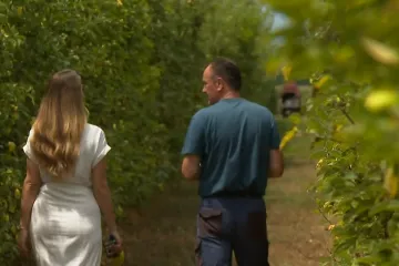 Novi trend u Hrvatskoj: Zaboravite jabuke i mandarine, postajemo zemlja ovih plodova?