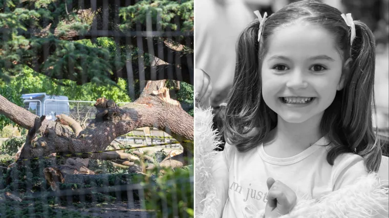 Stablo ubilo malenu Leonnu (7), druga djevojčica bori se za život: 'Čuli smo vriskove'