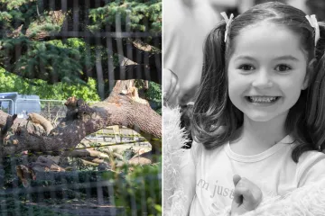 Stablo ubilo malenu Leonnu (7), druga djevojčica bori se za život: 'Čuli smo vriskove'