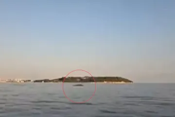 Neočekivani gost u pulskoj luci, stručnjaci upozoravaju: 'Ne približavajte se'