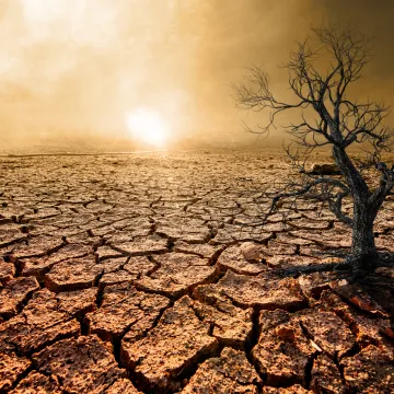 Vatikan odobrio mise za borbu protiv klimatskih promjena: 'Profit je postao važniji od ljudi i planete'