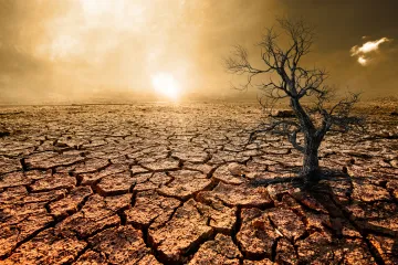 Vatikan odobrio mise za borbu protiv klimatskih promjena: 'Profit je postao važniji od ljudi i planete'