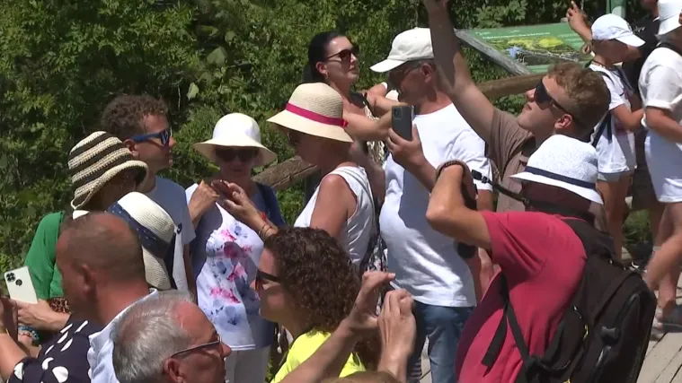 Dubai su zamijenili Likom i bez njih više ne možemo: 'Hrvatska je najbolja!'