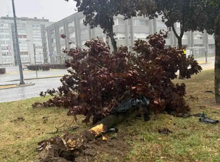 Uznemirujući prizori iz centra Karlovca: Automobil smrskan nakon udara u stablo