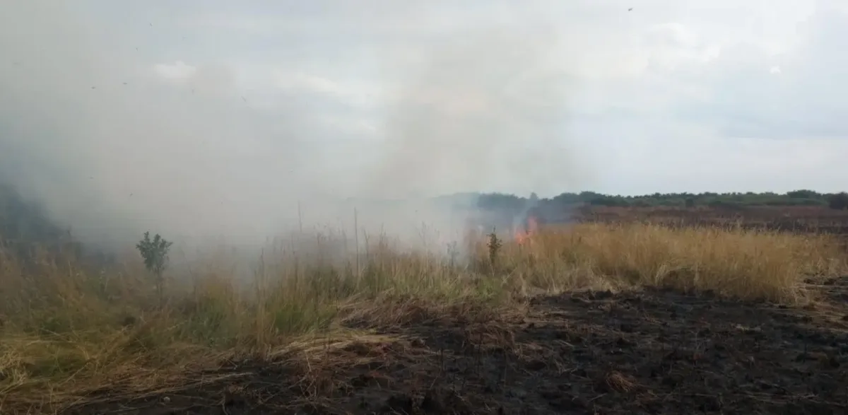 Požari već danima haraju Međimurjem: Vatrogasci su stalno na terenu, vatra se opet približila kućama