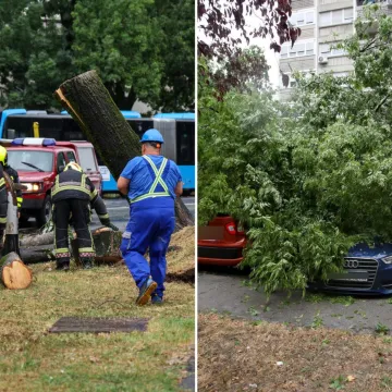 Stabla poklopila automobile, vatrogasci intervenirali i u školi: Pogledajte posljedice udarea oluje