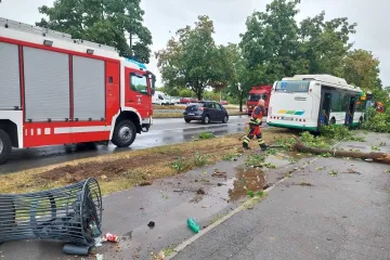 Stablo palo na autobus, a onda je vozača dočekao novi šok