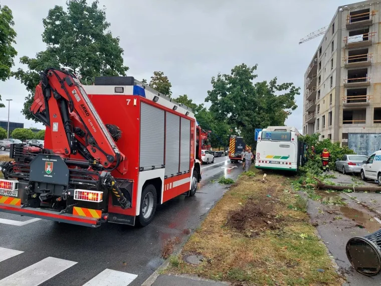 Stablo palo na autobus, a onda je vozača dočekao novi šok