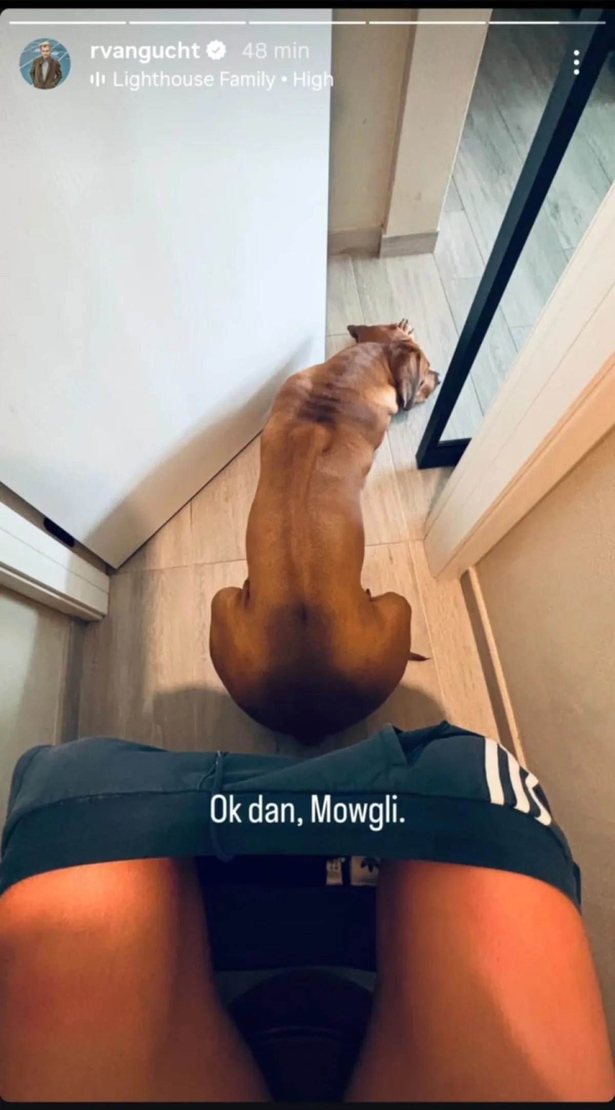 Dok Blanka slavi, Ruben Van Gucht u neobičnom golišavom kućnom izdanju