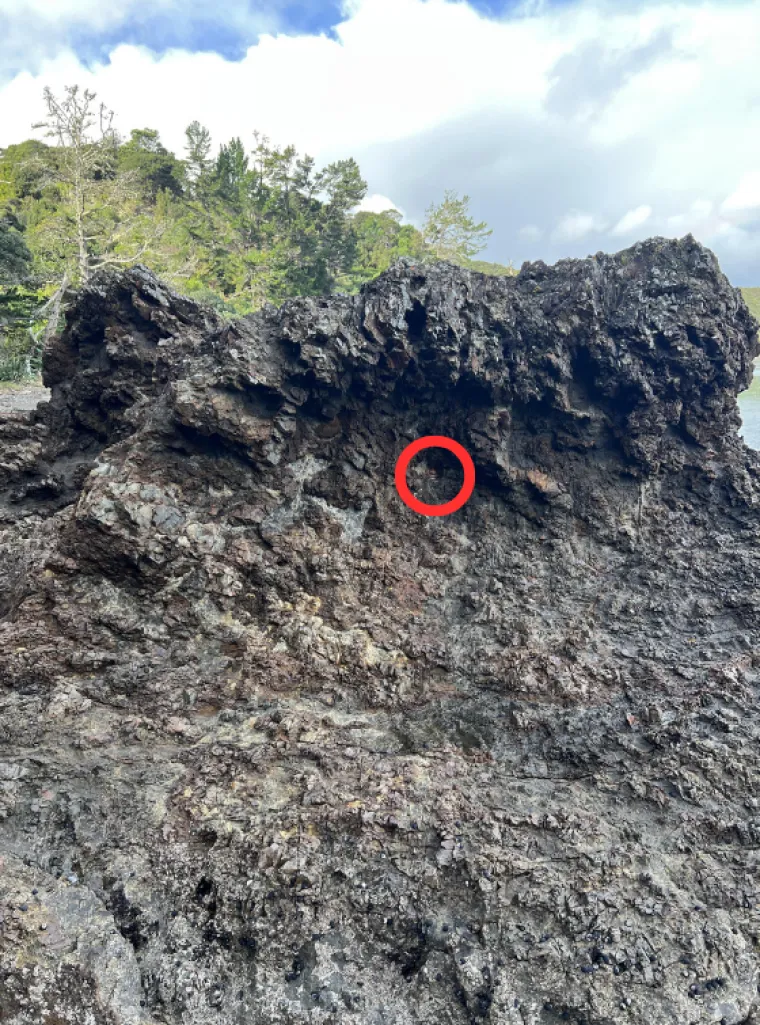 Ovaj zadatak izazvao je pravu pomutnju među Redditorima: Možete li vi pronaći dijete na fotografiji?