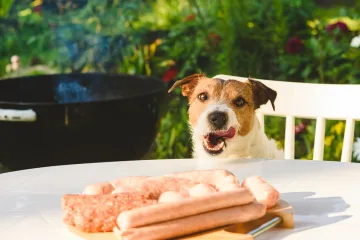 Veterinari upozoravaju: Prestanite psima davati ovu hranu iako je obožavaju