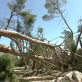 Oblak koji je poharao grad nastao je u desetak minuta: Zabilježeni rušilački udari vjetra