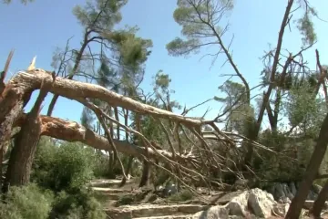 Oblak koji je poharao grad nastao je u desetak minuta: Zabilježeni rušilački udari vjetra