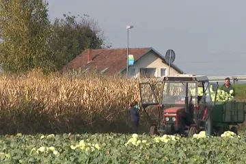 Hrvati dobili milijarde eura potpore a proizvodnja pala: 'Ovako samo upumpati novac...'
