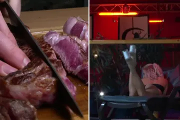 Jedni 'časte' večerama, drugi guštaju u kulenu: Na što biste vi peglali karticu građana?