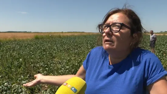 Neočekivane životinje šokirale Moniku i Zvonka: 'Šteta je ogromna, ogromna!'