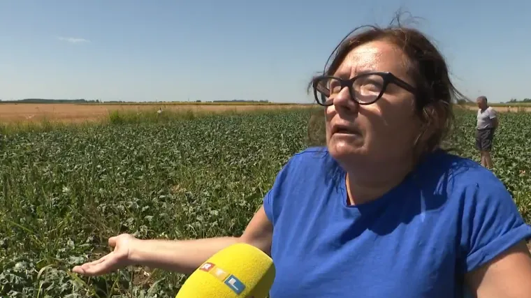 Neočekivane životinje šokirale Moniku i Zvonka: 'Šteta je ogromna, ogromna!'