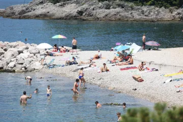 Snimljena otrovna riba u Jadranu, ubod je nesnosan: 'Bol kao da ti netko trga kost'