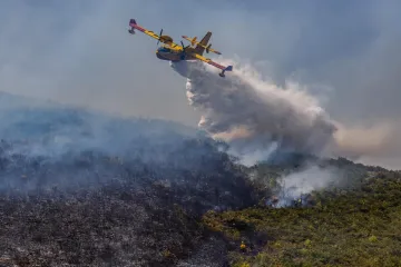10 katastrofalnih požara u Hrvatskoj izazvanih nemarom: Gorile šume, otoci i parkovi prirode