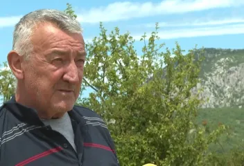 Stočari na Svilaji revoltirani zbog uginuća stoke: 'Nitko ne zna što će biti dalje…'