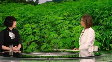 Koliko je Hrvatska daleko od legalizacije marihuane? Holy: 'Da se stavi na referendum…'