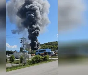 Veliki požar buknuo u tvornici kod Daruvara: Vatrogasac otkrio detalje